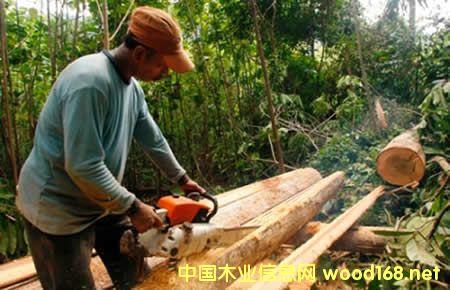 印尼�C�l845份FLEGT�J�C 向�W盟出口木制品活�S